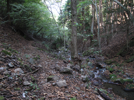 20151014hike (317)